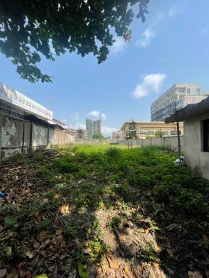 Spacious Bare Land, Victoria Island (vi), Lagos, Mixed-use Land for Sale