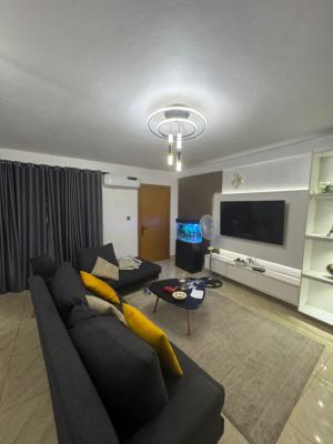 a Well Furnished 2 Bedroom Apartment, Yaba, Lagos, Flat / Apartment for Sale