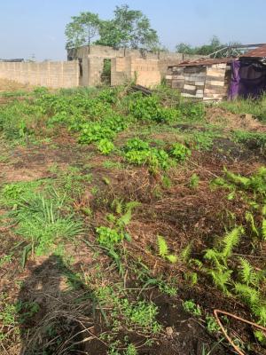 Full Plot of Land, Igbe Road, Ikorodu, Lagos, Land for Sale
