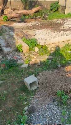 260sqm Land Cofo, Maplewood Estate, Oko-oba, Agege, Lagos, Residential Land for Sale