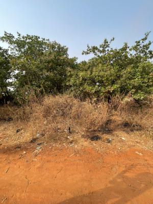 Land Size of 450sqm with C of O, Fo1, Kubwa, Abuja, Residential Land for Sale