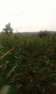 Roadside Mixed Use Land of 465.25 Hectares, Few Kilometres After Apo Mechanic Village., Gude, Apo, Abuja, Mixed-use Land for Sale