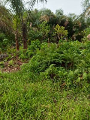 Affordable Half Plot of Dry Residential Land with Village Excision, Awoyaya New Road Omi Alagbo Village Excision, Awoyaya, Ibeju Lekki, Lagos, Residential Land for Sale