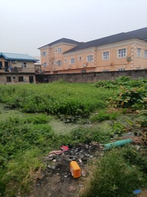 Full Plot of Land in a Secured Neighborhood, Divine Estate Off Community Road, Ago Palace, Isolo, Lagos, Residential Land for Sale