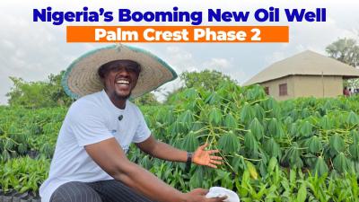 High Roi in Acres and Hectares of Farm Land Palm Crest, (palm Crest), Abeokuta North, Ogun, Commercial Land for Sale