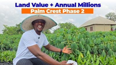 High Roi in Acres and Hectares of Farm Land, Palm Crest, Abeokuta North, Ogun, Commercial Land for Sale