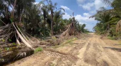 15 Hectares Dryland, Ayetoro By New Lagos International Airport, Ibeju Lekki, Lagos, Mixed-use Land for Sale