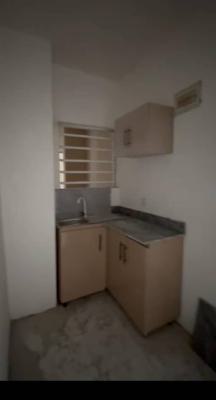 Lovely Sweet Mini Flat, Off Pedro Road, Shomolu, Lagos, Mini Flat (room and Parlour) for Rent