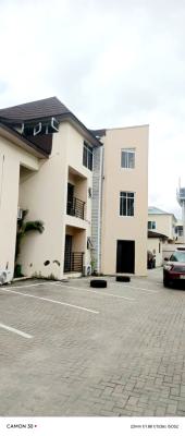 Serviced 1 Bedroom/mini Flat Penthouse, Lekki, Lagos, Mini Flat (room and Parlour) for Rent