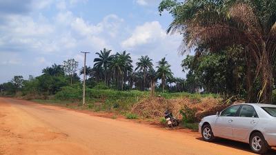 143 Plots of Land Along The Road in a Developing Area, Ezi Town, Aniocha North, Delta, Land for Sale