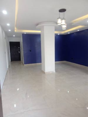 Luxury Apartment 3 Bedroom Flat + Bq, Victoria Island (vi), Lagos, Flat / Apartment for Rent