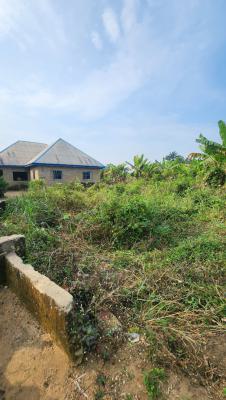 Fantastic Plot of Dry Land, Shelter Afrique Estate Extension, Uyo, Akwa Ibom, Residential Land for Sale