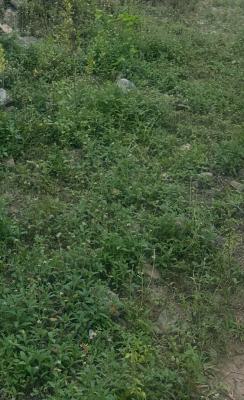850sqm Dryland in a Nice Estate, Gra Phase 2, Magodo, Lagos, Residential Land for Sale
