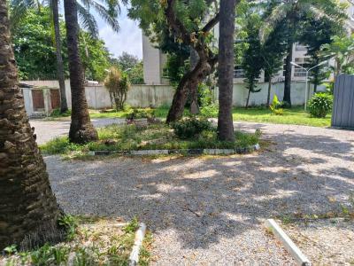 Mansion on 3200 Sqm Plot, Off Alfred Rewane Road, Old Ikoyi, Ikoyi, Lagos, Detached Duplex for Rent