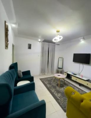 Furnished 2 Bedrooms Apartment, Wuse, Abuja, House for Rent