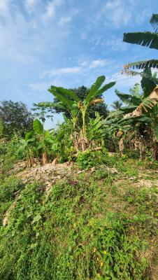 Fantastic Plot of Dry, Shelter Afrique Estate Extension, Uyo, Akwa Ibom, Residential Land for Sale