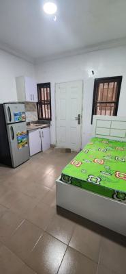 Spacious Studio Self Contain, Spg Ologolo, Lekki, Lagos, Flat / Apartment for Rent