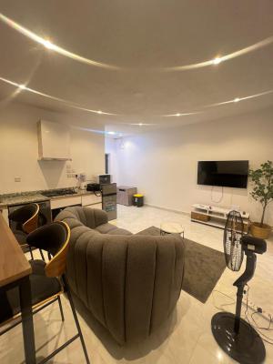 Fully Furnished & Serviced Luxury 1 Bedroom with Elevator, Off Admiralty Way, Lekki Phase 1, Lekki, Lagos, Mini Flat (room and Parlour) for Rent