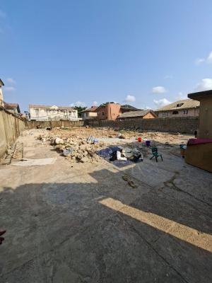 Dry Standard Full Plot of Land, Off Century, Ago Palace, Isolo, Lagos, Residential Land for Sale
