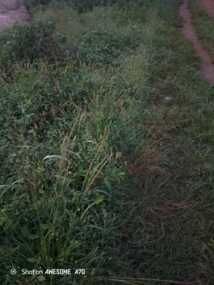 5 Hectares Multipurpose Land, Area1, Durumi, Abuja, Residential Land for Sale