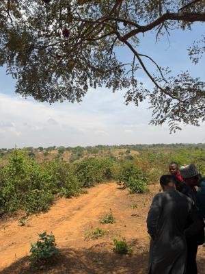 Investment Estate Land, Extension, Maitama 2, Maitama District, Abuja, Residential Land for Sale