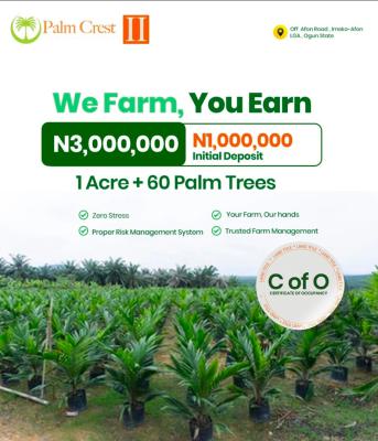 Agro Farming  Land, Ifo, Ogun, Commercial Land for Sale
