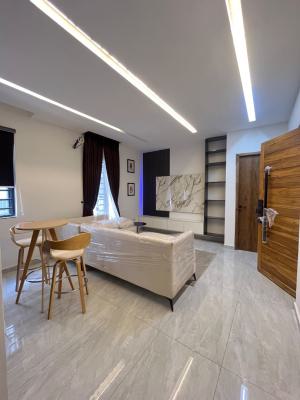2bedroom Apartment, Ikate, Ikate Elegushi, Lekki, Lagos, Flat / Apartment for Sale
