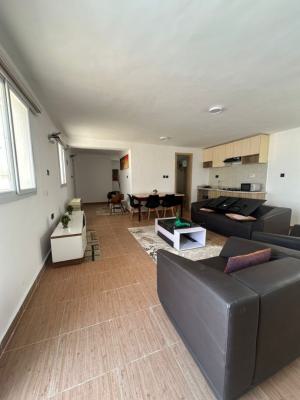 Smart Spacious Newly Built Furnished Mini Flat (1 Room and Parlor), Abraham Adesanya Axis, Ajah, Lagos, Mini Flat (room and Parlour) for Rent