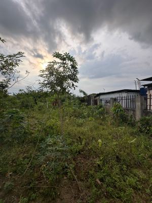 2 and The Half Plot of Land, Along Sars Road, Rukpokwu, Port Harcourt, Rivers, Mixed-use Land for Sale