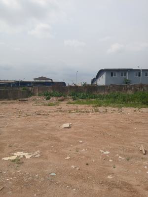 668sqms of Land, Mt Estate, Opic, Isheri North, Lagos, Land for Sale
