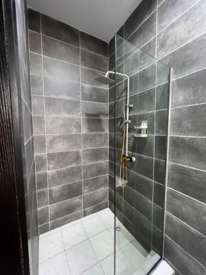 Luxury 2 Bedroom Furnished Apartment, Chevron, Lekki, Lagos, Flat / Apartment for Rent