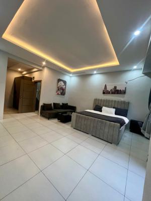 Luxury 2 Bedroom Furnished Duplex Apartment, Orchid Road, Lekki, Lagos, Terraced Duplex for Rent