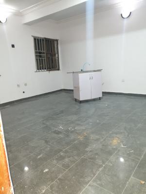 Spacious Miniflat Newly Renovated, Off New Road Igboefon, Lekki, Lagos, Mini Flat (room and Parlour) for Rent