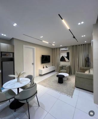 Fully Furnished 2 Bedroom Apartment, Ikate, Lekki, Lagos, Flat / Apartment for Rent