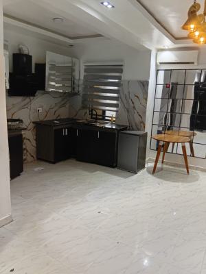 Super Exquisite 2 Bedroom with Beautiful Open Kitchen Modern Pop Ceiling, Chevron Alternative, Lekki, Lagos, Flat / Apartment for Rent