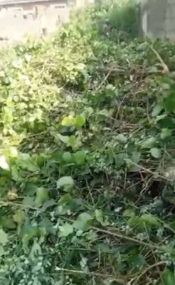 Half Plot of Land, Off Church Street, Alapere, Ketu, Lagos, Residential Land for Sale