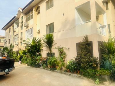 3 Bedroom Apartment, Serene Environment of Aminu Kano, Wuse 2, Abuja, House for Rent