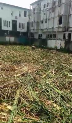 Land Measuring 1 Plot with Consent, Behind Cowrie Creek Estate Via Chisco, Ikate, Lekki, Lagos, Residential Land for Sale