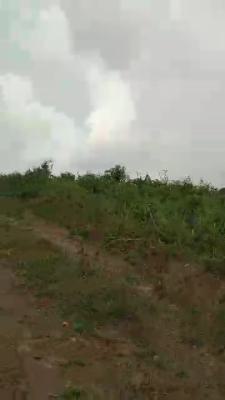 10 Acres of Land with Cofo, Shimawa Close to Rccg New Auditorium, Asese, Ibafo, Ogun, Land for Sale