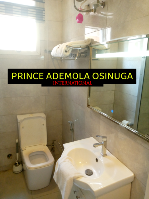 Furnished 3 Bedroom Apartment + Bq+elevator Etc, Banana Island Estate, Ikoyi, Lagos, Flat / Apartment for Rent