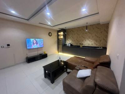 Furnished 2 Bedrooms Flat Plus Bq, Off Palace Road, Oniru, Victoria Island (vi), Lagos, Flat / Apartment for Rent