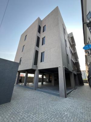 Luxury 2 Bedroom Apartment with Elevator and Bq in Ikate, Ikate, Ikate, Lekki, Lagos, Block of Flats for Sale