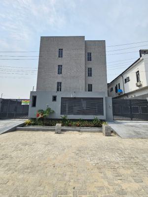 Well Built Spacious Studio Apartment with a Gym, Ikate, Lekki, Lagos, Flat / Apartment for Sale