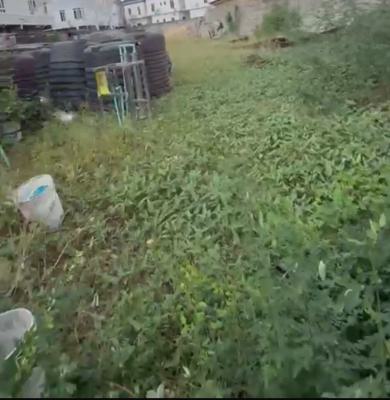 1300sqm Land, Gra, Ikota, Lekki, Lagos, Residential Land for Sale