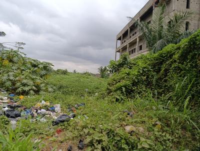 2 Plot Together on a Tarred Road Good for Commercial Purposes and Resi, Iyana Ipaja Lagos, Ipaja, Lagos, Mixed-use Land for Sale