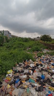 Complete 2 Plot Together on a Tarred Road in a Decent and Busy, Aboru Iyana Ipaja, Ipaja, Lagos, Mixed-use Land for Sale