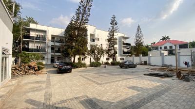 6-bedroom Terrace Duplex + 2-bedroom Basement + 2bq + Swimming Pool, Asokoro District, Abuja, House for Sale