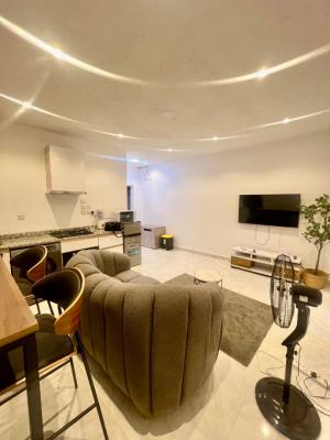 Super Location for Smart Minds, Lekki Phase 1, Lekki, Lagos, Mini Flat (room and Parlour) for Rent