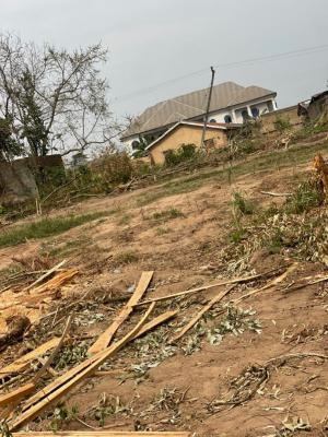 Standard 30 Acres of Land, Olorunda Akobo, Akobo, Ibadan, Oyo, Mixed-use Land for Sale