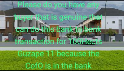 100 Hectares Wasa, Comprehensive Development, Cofo, Wasa, Apo, Abuja, Industrial Land for Sale